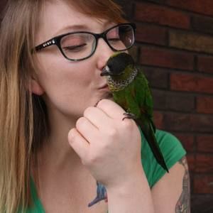 Meet your Posher, Anne